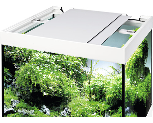 Aquarium avec végétation et couvercle partiellement ouvert