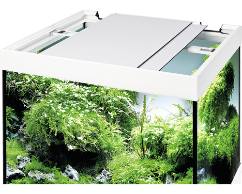 Aquarium avec plantation et couvercle partiellement ouvert