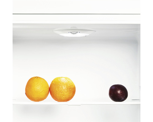 Innenansicht eines Kühlschranks mit zwei Orangen und einer Pflaume