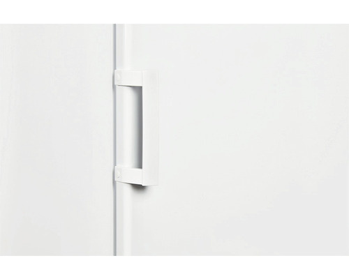 Detailaufnahme einer weißen Gefrierschranktür mit Griff