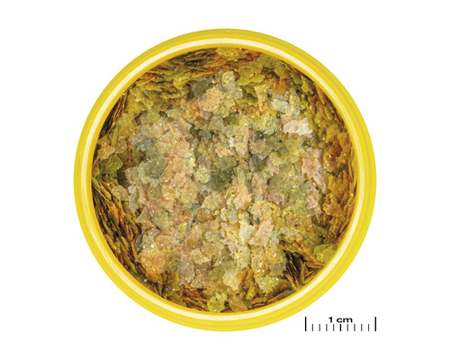 Fischfutterflocken in gelber Dose, Nahaufnahme