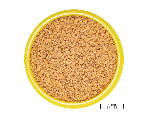 Nourriture pour poissons dans un récipient jaune, vue de dessus