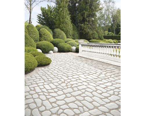 Jardin avec des pavés au design irrégulier et des buissons décoratifs