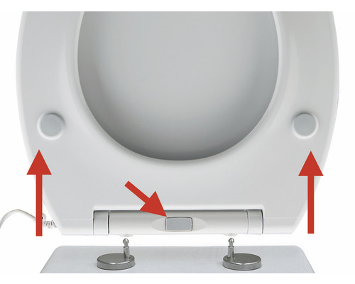 Vue détaillée d''un siège de WC avec fonction amovible