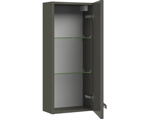 Offener Badezimmer-Spiegelschrank mit zwei Glasablagen