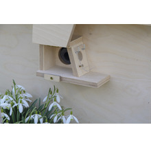 Fledermauskasten aus Holz mit Schneeglöckchen