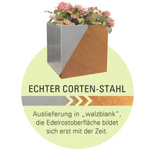 Kaminholzunterstand Palatino Corten mit Rückwand 100 x 40 x 120 cm braun