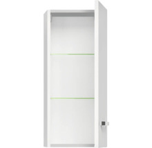 Armoire de toilette ouverte blanche avec étagères en verre