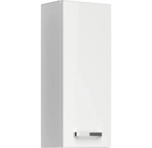 Armoire suspendue verticale avec porte et poignée