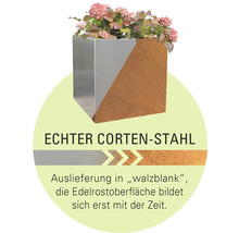 Blumenkasten aus Cortenstahl mit Pflanzen