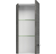 Armoire de toilette ouverte avec deux étagères en verre