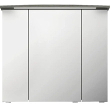 Armoire de toilette avec trois portes et éclairage