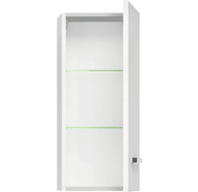 Armoire de salle de bain ouverte avec deux étagères en verre