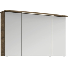 Spiegelschrank mit drei Türen und Beleuchtung