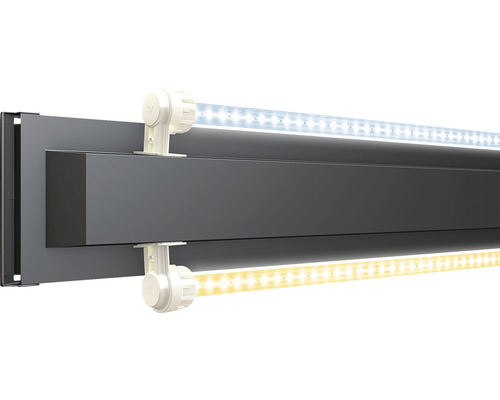 LED-Leuchte mit Halterung