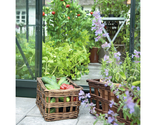 Potager avec serre et paniers de légumes
