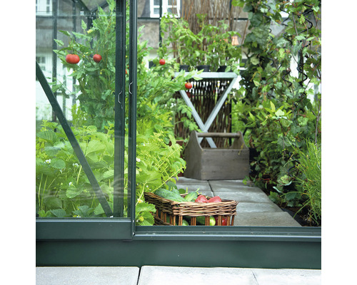 Vue sur une serre avec des plantes, des légumes et des accessoires de jardin