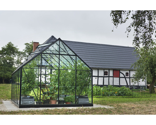 Serre avec des plantes dans le jardin devant un bâtiment