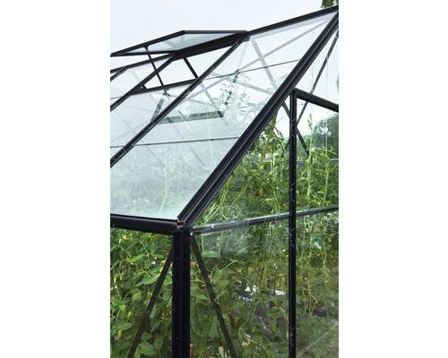 Serre avec fenêtres en verre et plantes