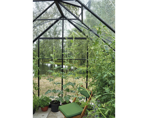 Vue intérieure d''une serre avec des plantes et une chaise