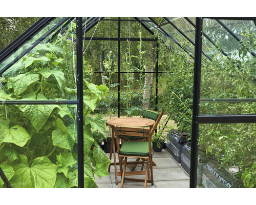 Serre avec plantes et coin salon