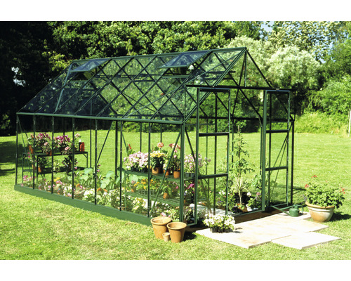 Serre avec plantes et étagères dans un jardin