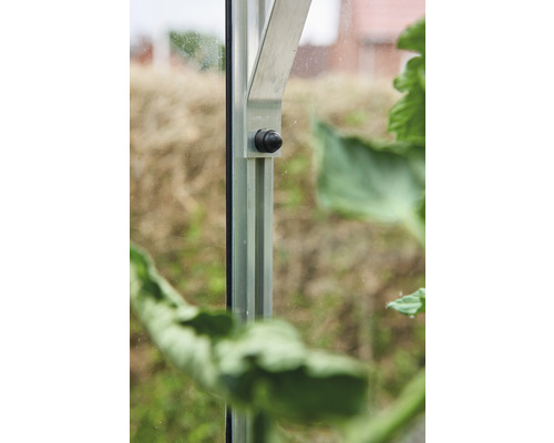 Vue détaillée d''une serre avec cadre et fenêtre