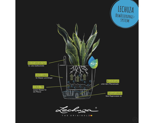 Représentation graphique d''un système d''irrigation Lechuza avec plante, indicateur de niveau d''eau, puits de remplissage, réservoir d''eau et vis de trop-plein.