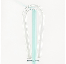 Dennerle Plants Blasenzähler aus Glas für Aquarien