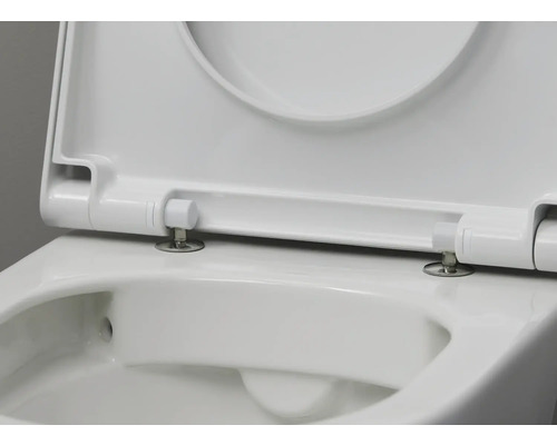 Detailansicht eines weissen Toilettensitzes mit geöffnetem Deckel