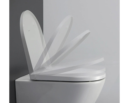Toilettensitz mit Absenkautomatik auf einer Toilette