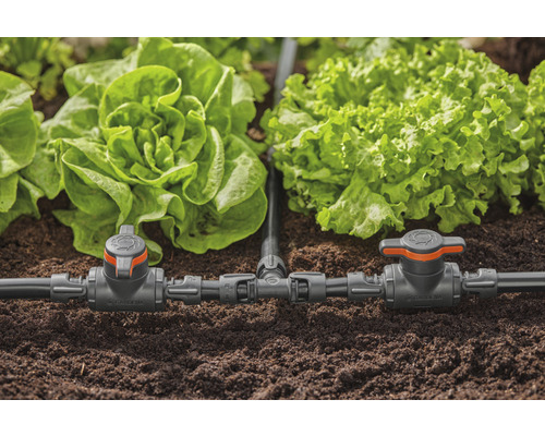 Système d''irrigation de jardin avec salades