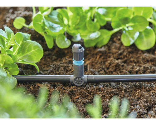 Bewässerungssystem mit Tropfer zur Pflanzenbewässerung im Garten