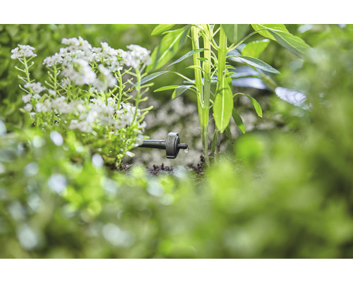 Arrosage goutte à goutte dans le jardin avec des plantes