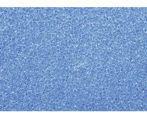 Nahaufnahme eines blauen Schwamms mit grober Struktur.