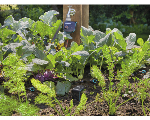 Potager avec système d''arrosage et commande électronique au robinet