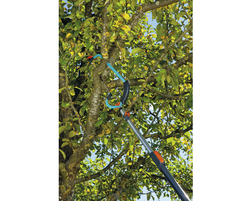 Une ébrancheuse avec manche télescopique en utilisation sur un arbre.