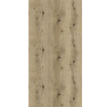 Holzplatte mit natürlicher Maserung