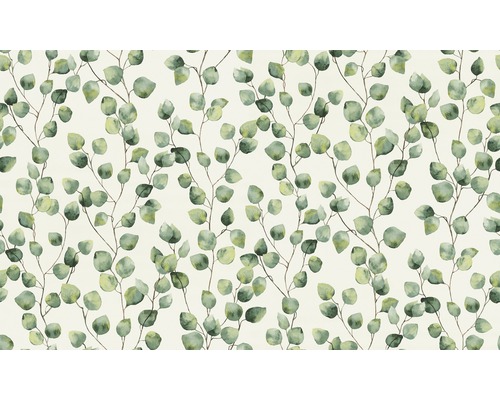 Eukalyptus-Blätter Muster