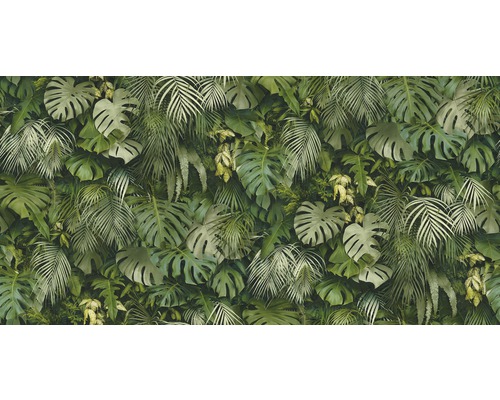 Mur avec des feuilles tropicales, y compris des monstera et des palmiers, pour une atmosphère naturelle et vivante