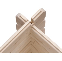 Abri de jardin Karibu Noorvik 3 avec extension de toit de 3 m, paroi arrière 614 x 273 cm naturel