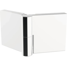 Charnière de porte de douche en métal