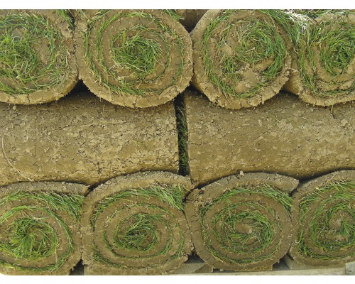 Rouleaux de gazon empilés pour l''horticulture