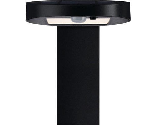 Borne d''éclairage de jardin avec détecteur de mouvement