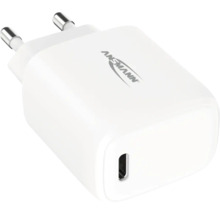 Ansmann Logo USB-Ladegerät