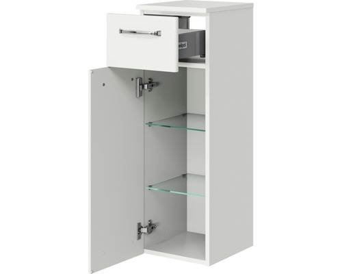 Armoire de salle de bain avec tiroir, porte et étagères en verre