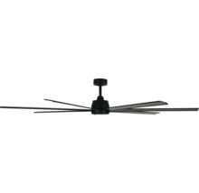 Ventilateur de plafond avec plusieurs pales