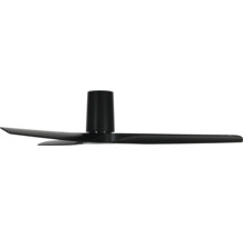 Ventilateur de plafond avec pales