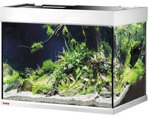 EHEIM Aquarium mit Pflanzen, Steinen und Sand