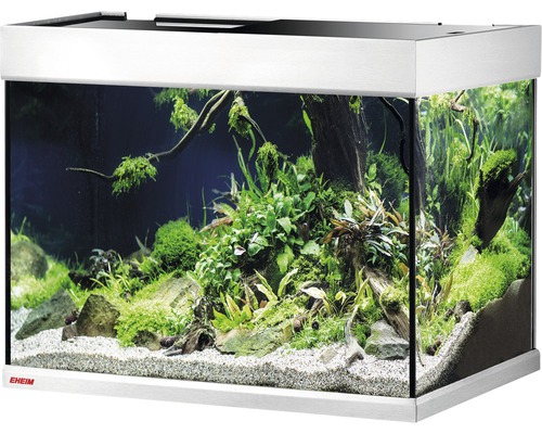 Eingerichtetes Aquarium mit Pflanzen und Dekoration